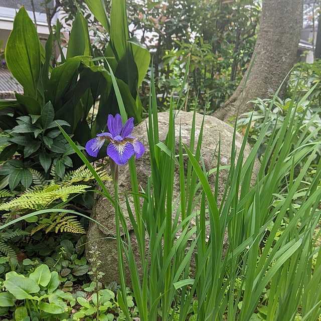 hiroさんの部屋