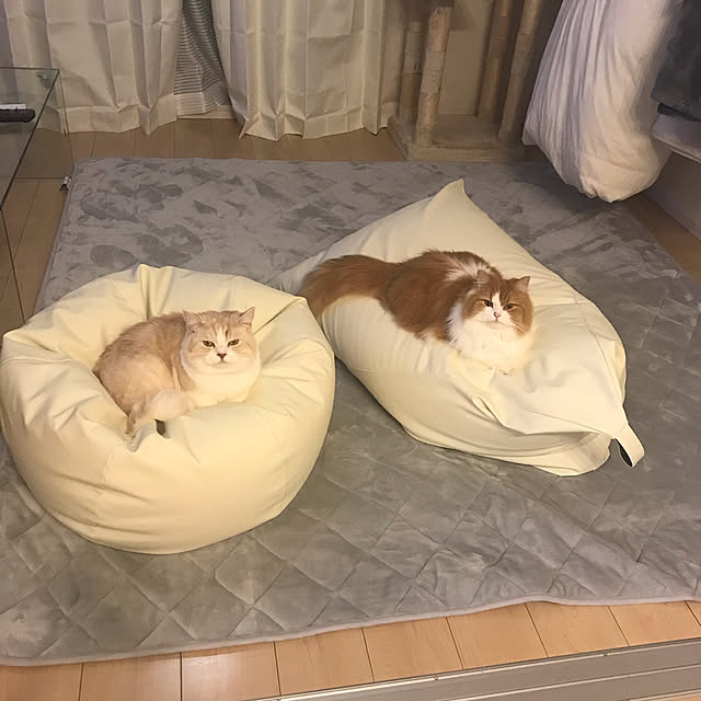 H.Tさんの実例写真