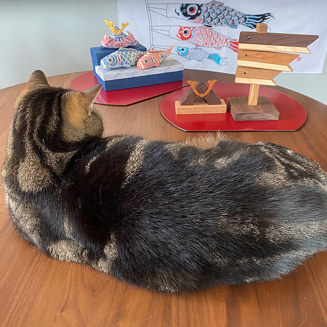 mikomaruさんの実例写真