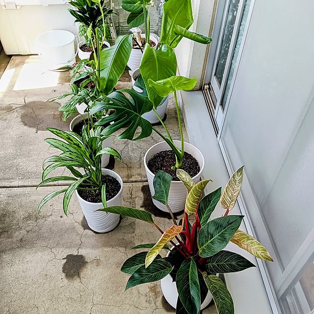 hanachanさんの部屋