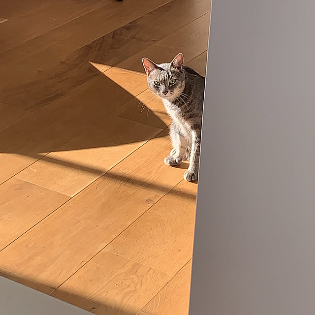 cocokuro0124さんの実例写真
