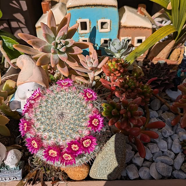 Yoshie1911さんの部屋