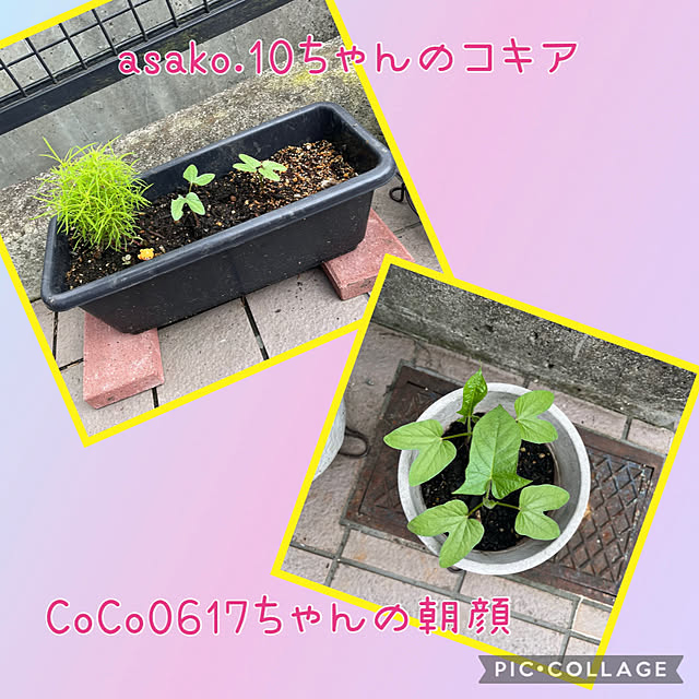 jijiさんの部屋