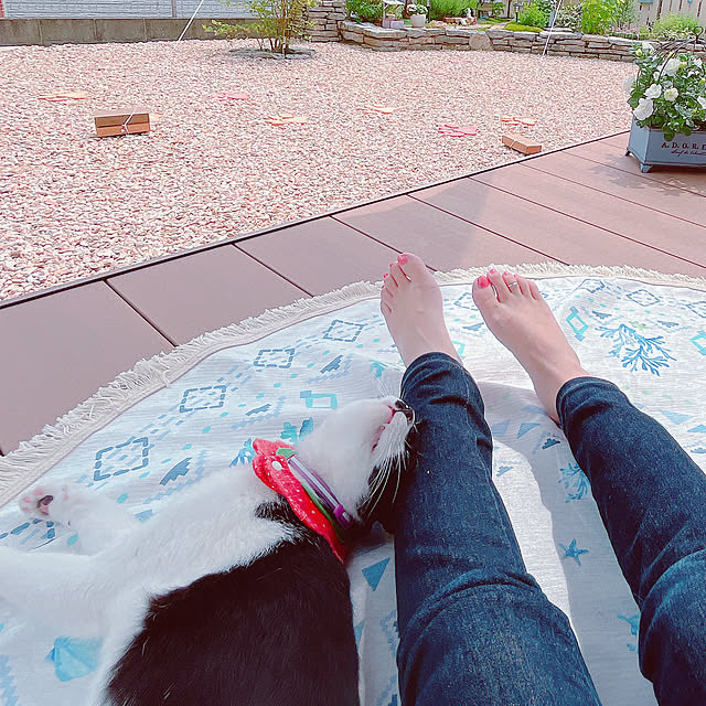 moolさんの部屋