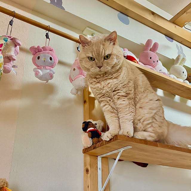 naokoさんの部屋