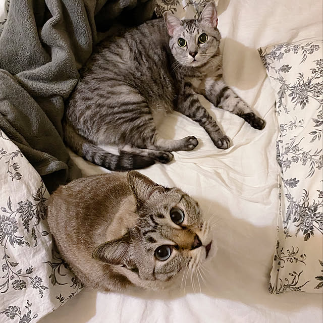 ineko_kさんの実例写真