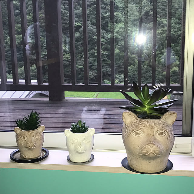 kanaさんの実例写真