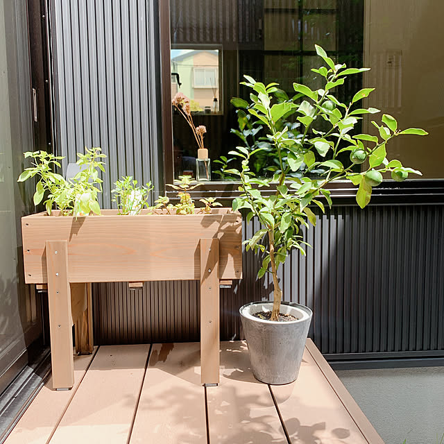roppiさんの実例写真