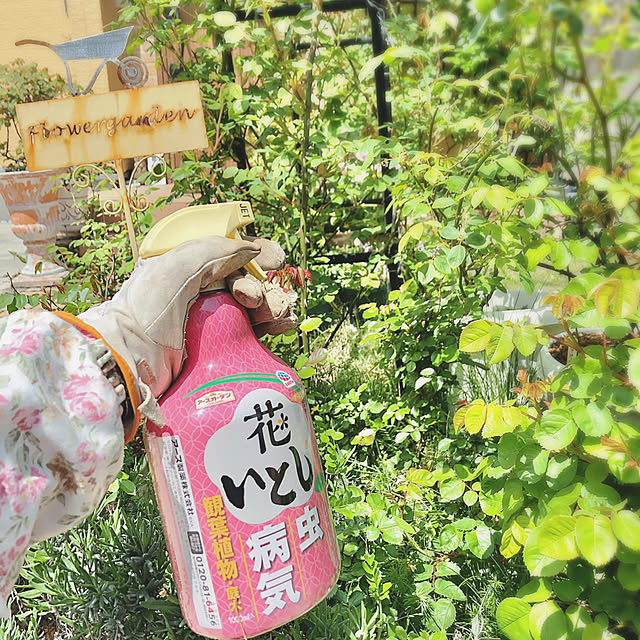 Hatsuneさんの実例写真