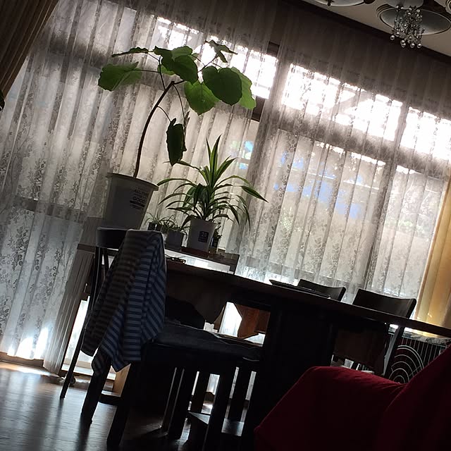 bananaさんの実例写真