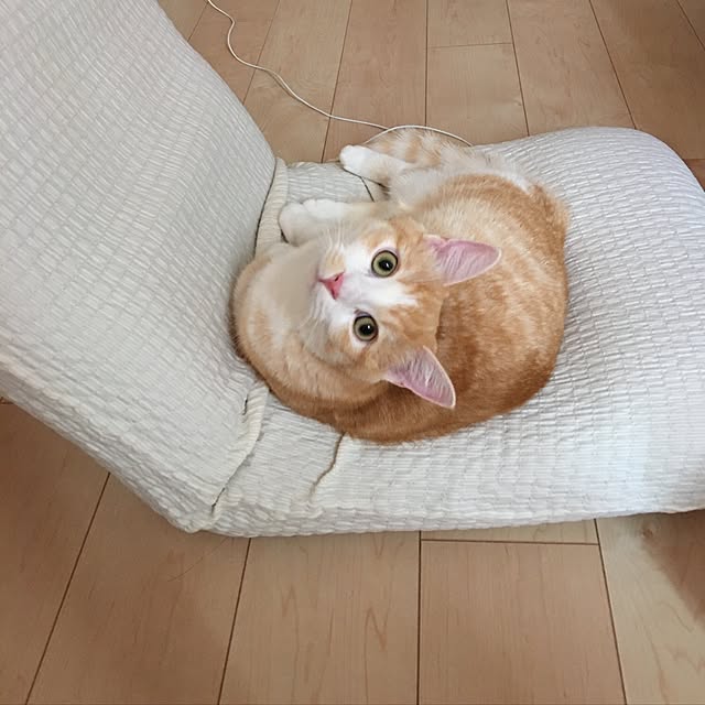 korinkorinさんの実例写真
