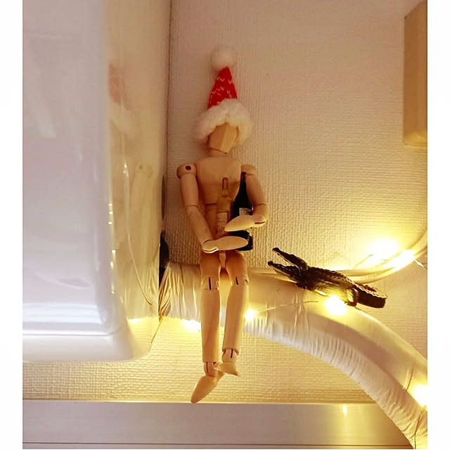 waniwaniさんの実例写真