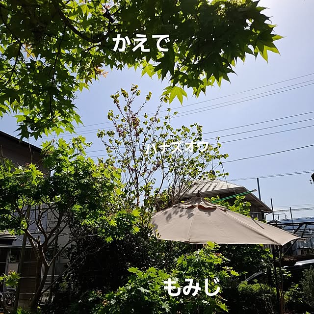 midoriさんの部屋