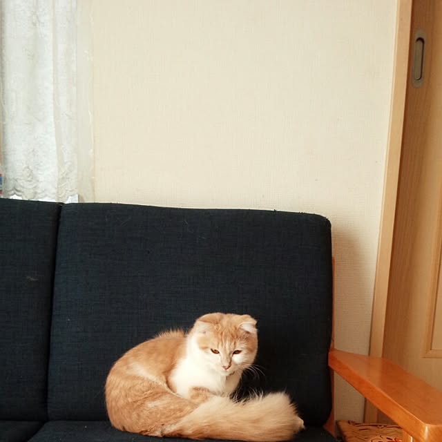 yuさんの実例写真