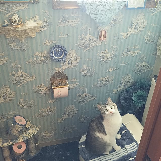 emmyyさんの実例写真