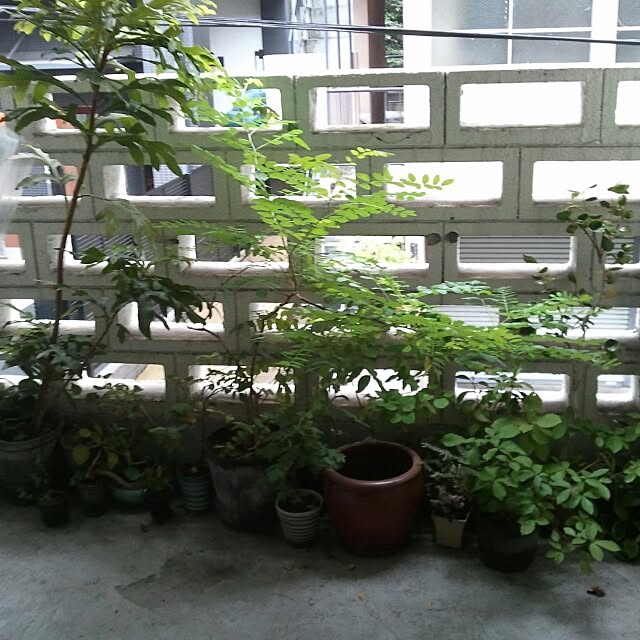mint_nimさんの実例写真