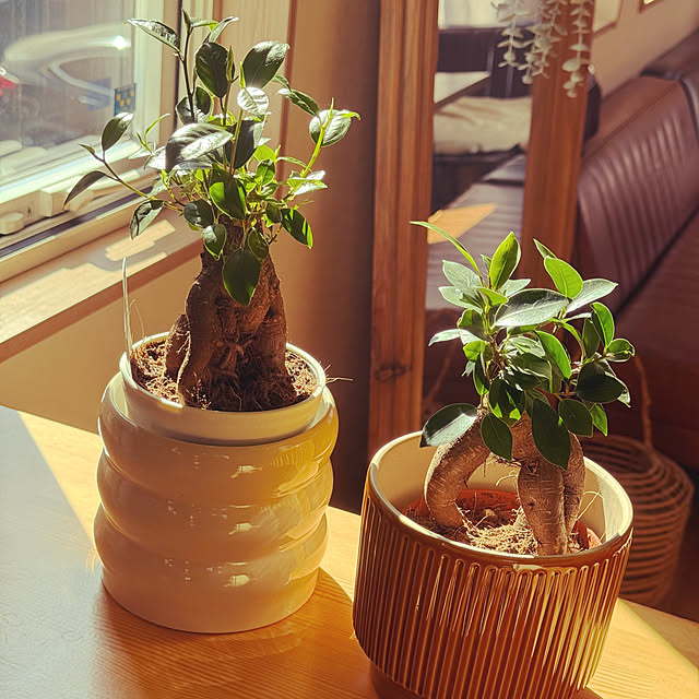 kozさんの実例写真