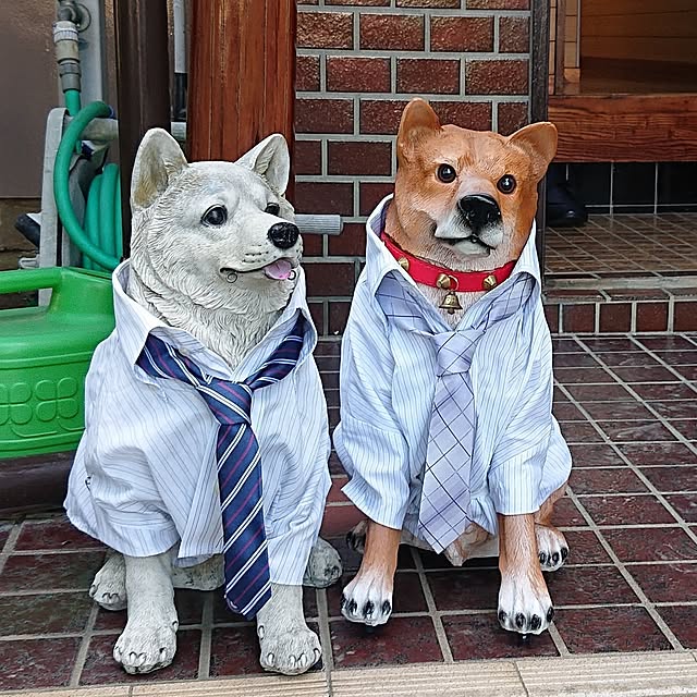 NOAHさんの実例写真