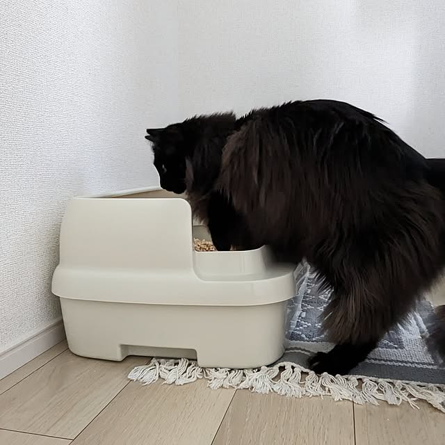 kumiさんの実例写真
