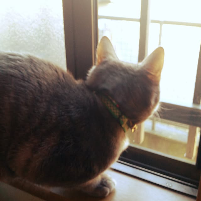 oyumiさんの実例写真