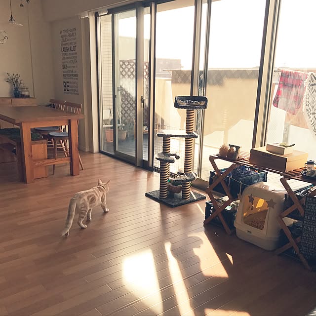 hiyupan88さんの実例写真