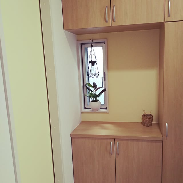 toiさんの実例写真