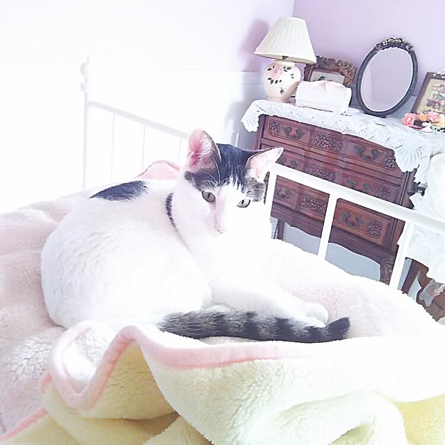 sakuraさんの実例写真