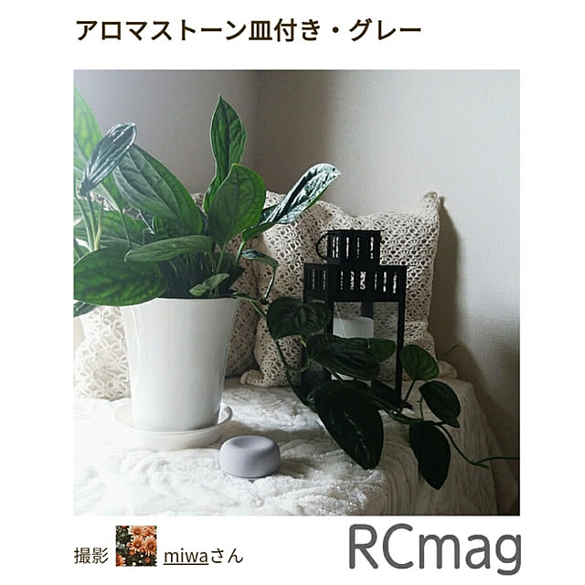 miwaさんの実例写真