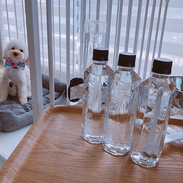 KLさんの実例写真