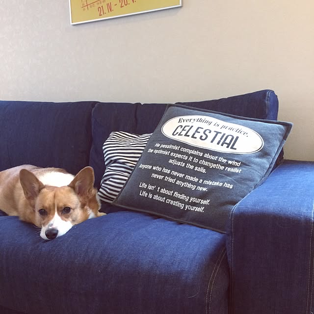 fieldさんの実例写真