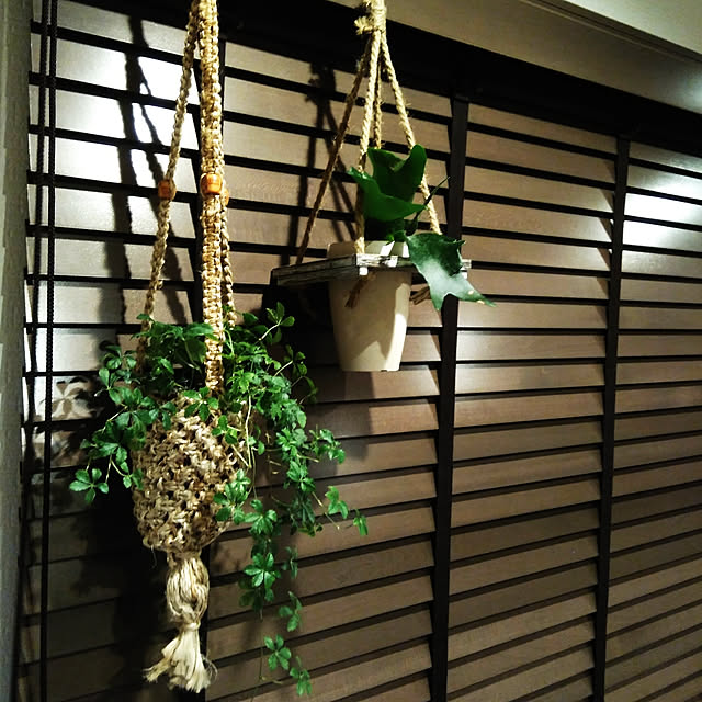 koto.ohanaさんの実例写真