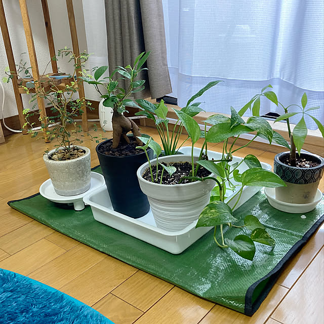 gumiさんの実例写真