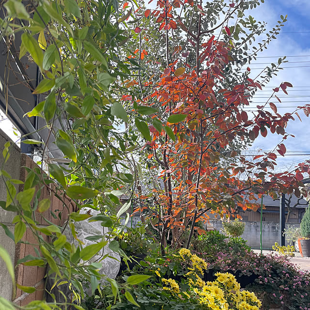 ronronさんの部屋