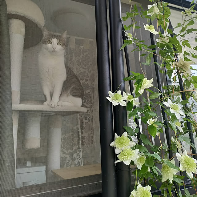 mori_6_12さんの実例写真