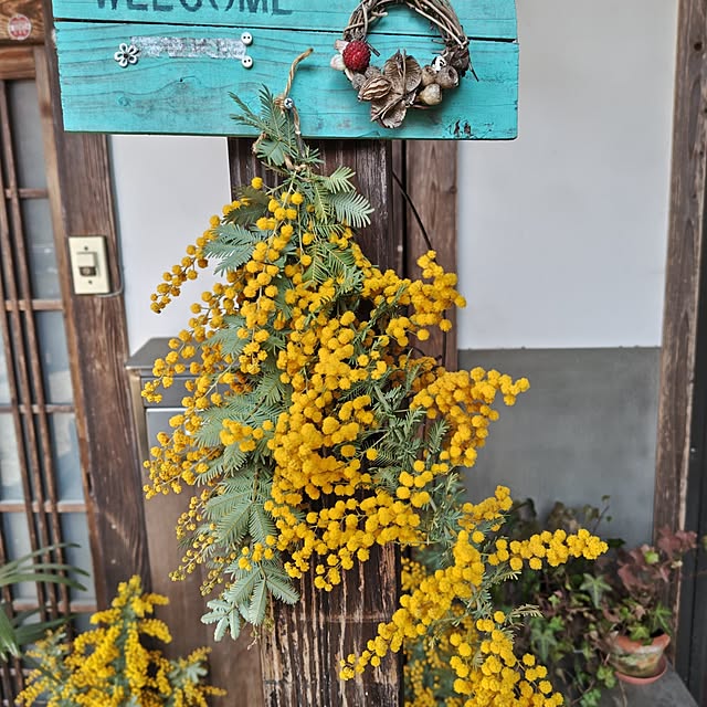 nacoさんの実例写真