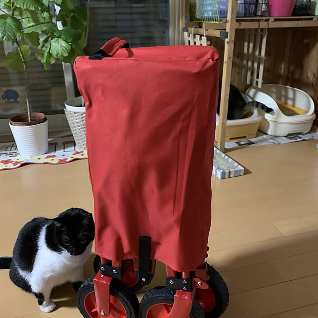 mohimikanさんの実例写真
