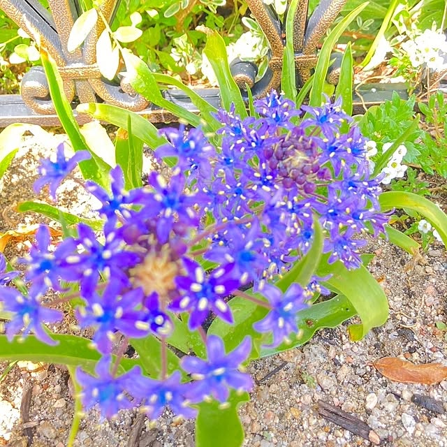 min_nimさんの実例写真