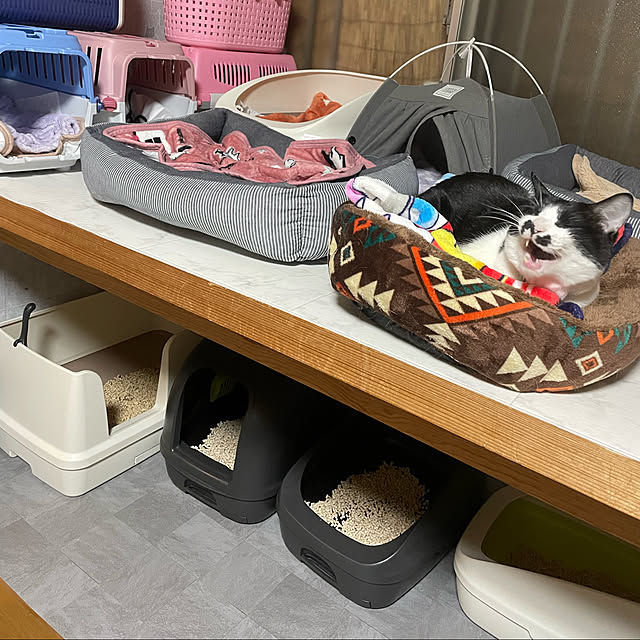 mugiさんの実例写真