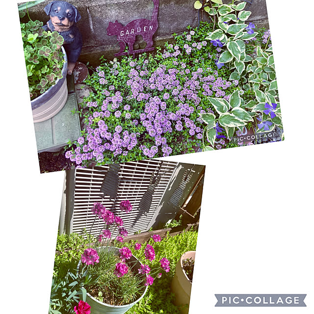 CoCo0617さんの部屋
