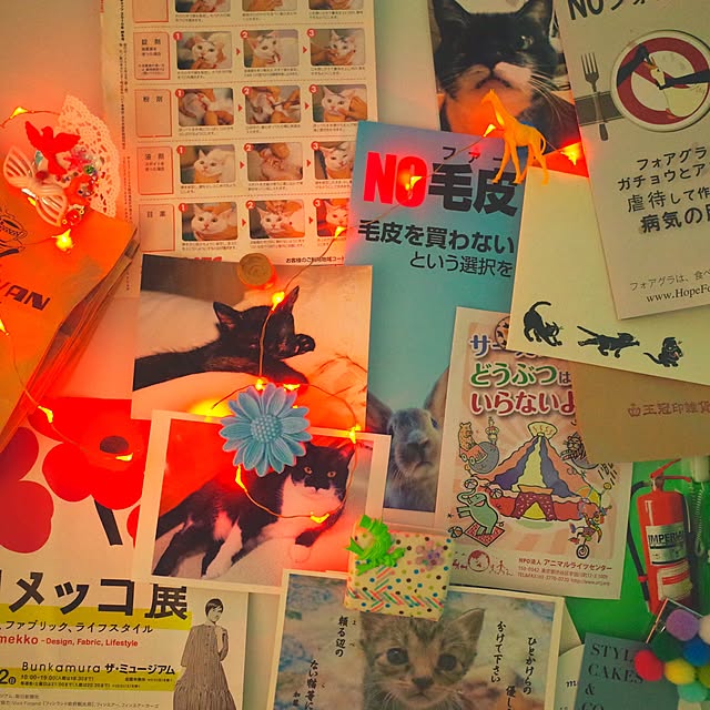 hilaさんの実例写真