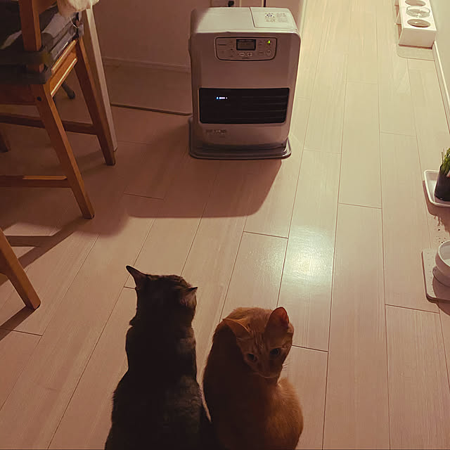 naturalさんの実例写真