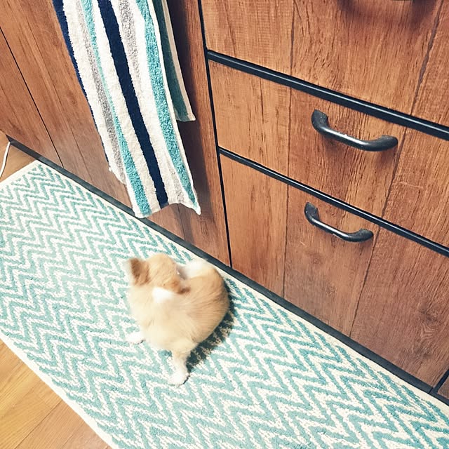 mizuさんの実例写真