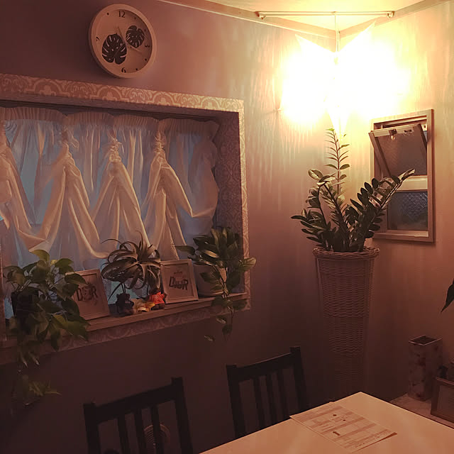 DIY/観葉植物/ニトリ/IKEA/多肉植物...などのインテリア実例 - 2020-10-27 22:54:35