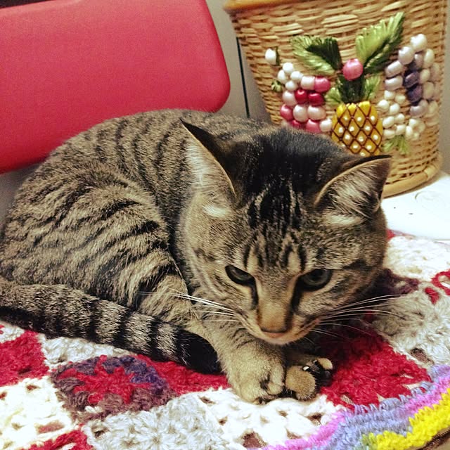 kasmieさんの実例写真