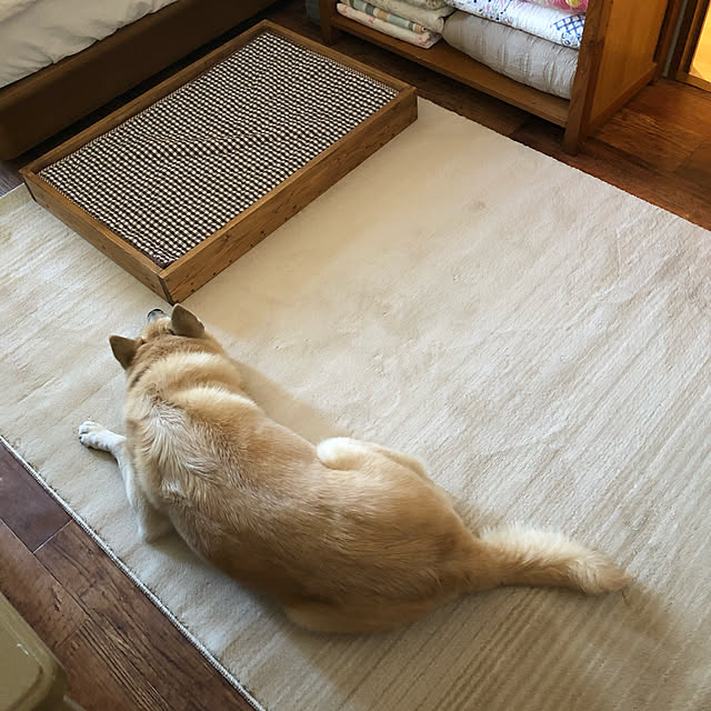 leonaさんの実例写真