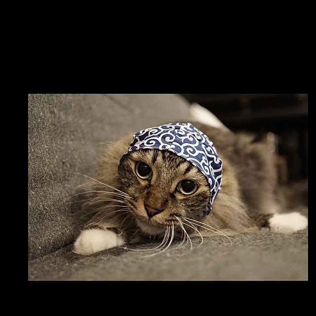 jnkaiさんの実例写真