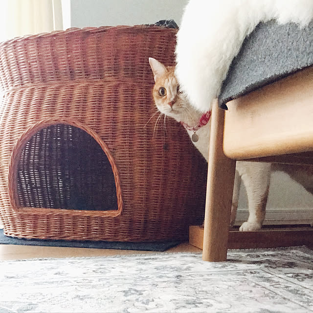 Yさんの実例写真