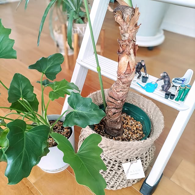 Haさんの部屋