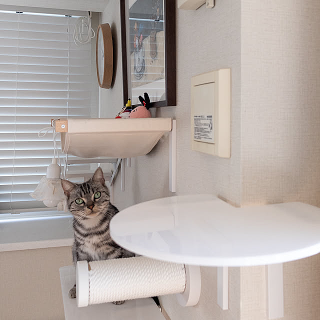 Yuki_with_a_tailさんの部屋