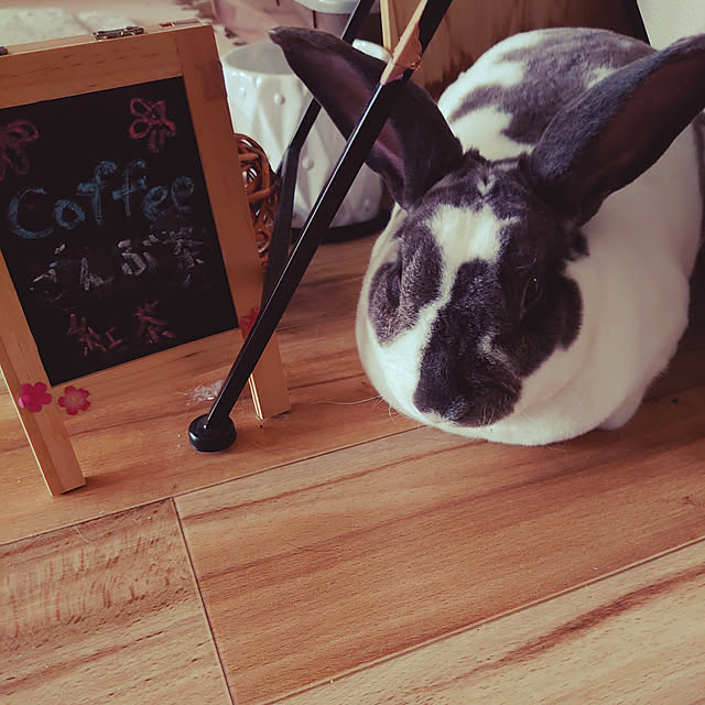 biohazard12247さんの実例写真